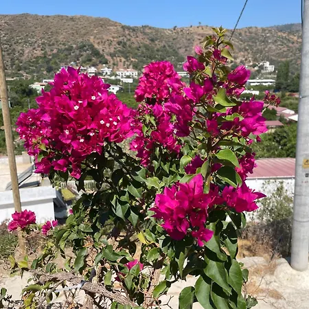 Tatil Evi Günaydın