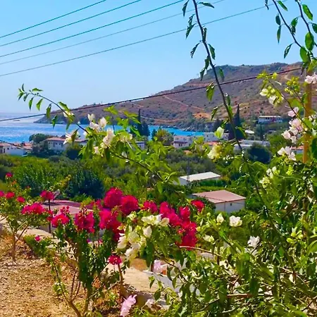 Guenaydin ボドルム