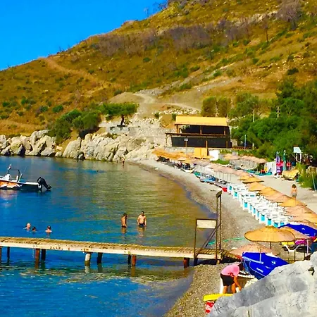 Guenaydin